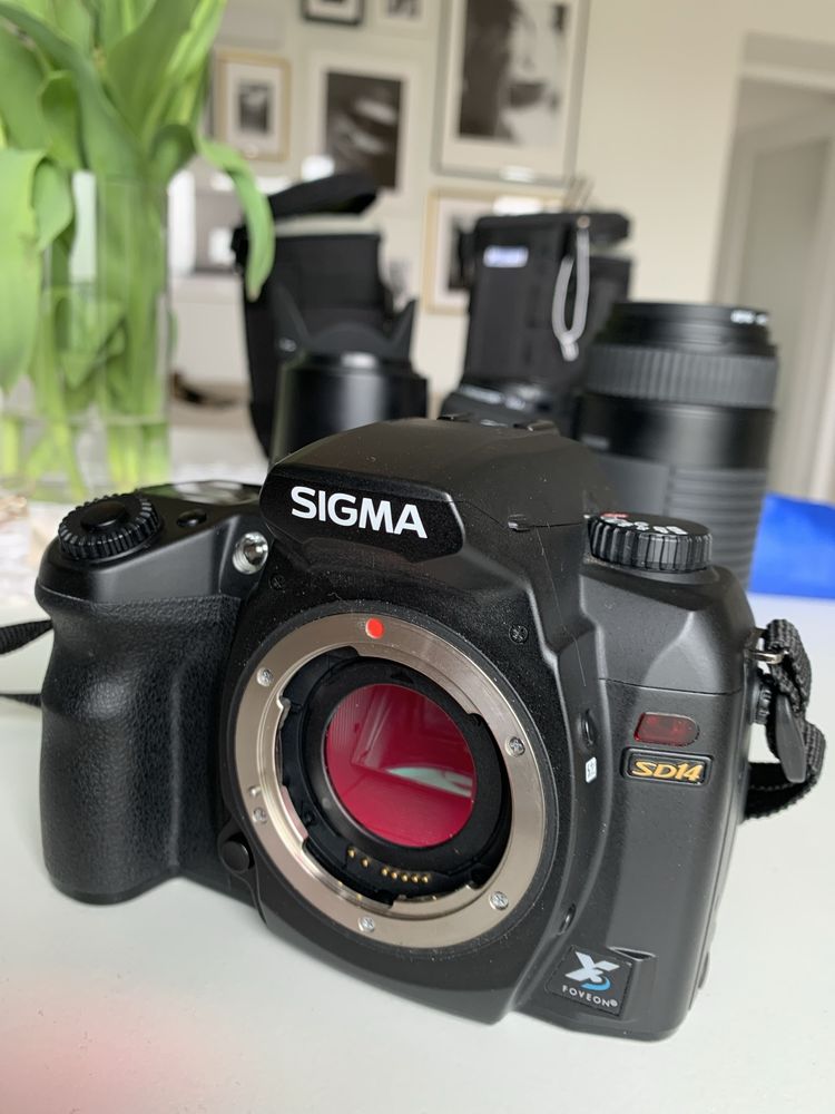 Sigma SD14 Foveon idealny komplet unikat