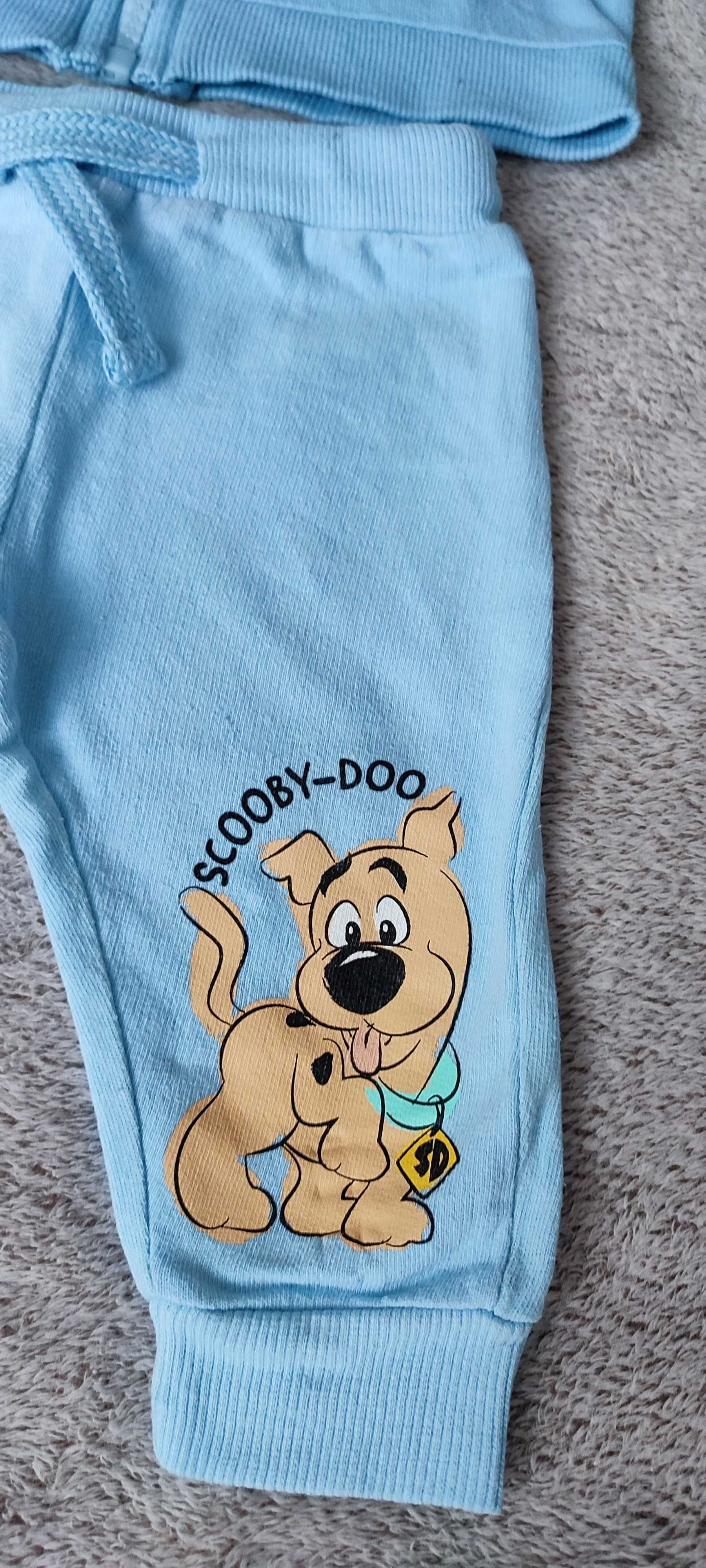 Dresy Scooby-Doo r.68 rozpinana bluza