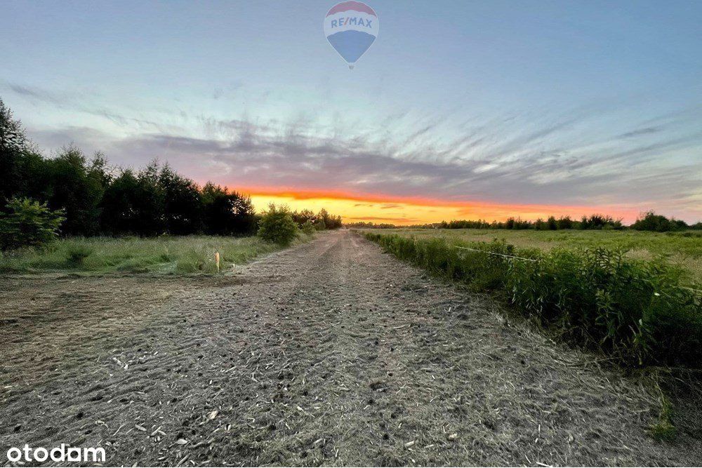 Działka budowlana - Sprzedaż - Józefów gm. Pniewy