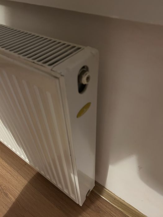 Grzejnik plytowy 10x100x60 cm