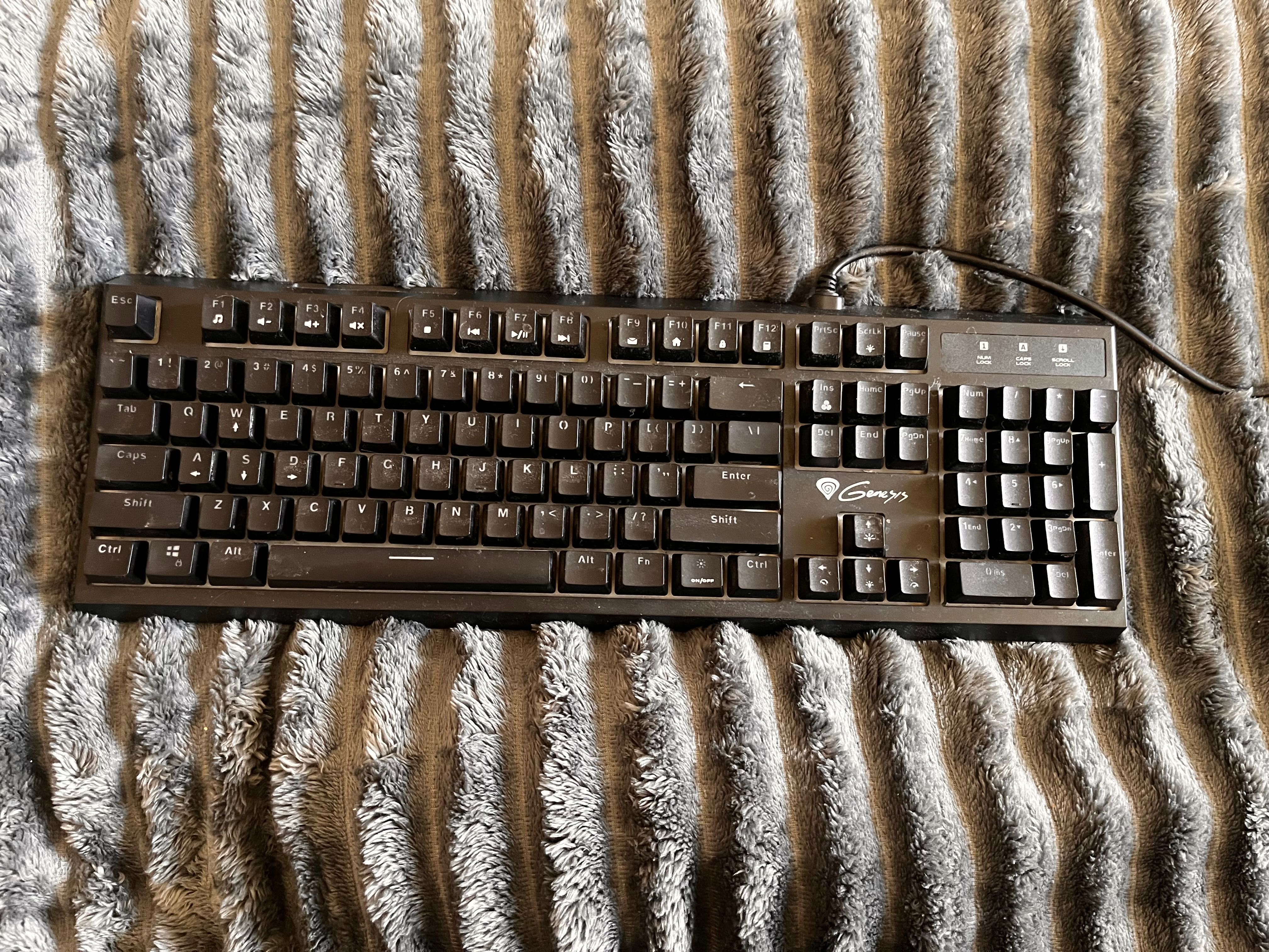 Klawiatura mechaniczna genesis thor 210 RGB