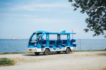 Delfinek - pojazd elektryczny 14-os. turystyczny, pasażerski Frugal