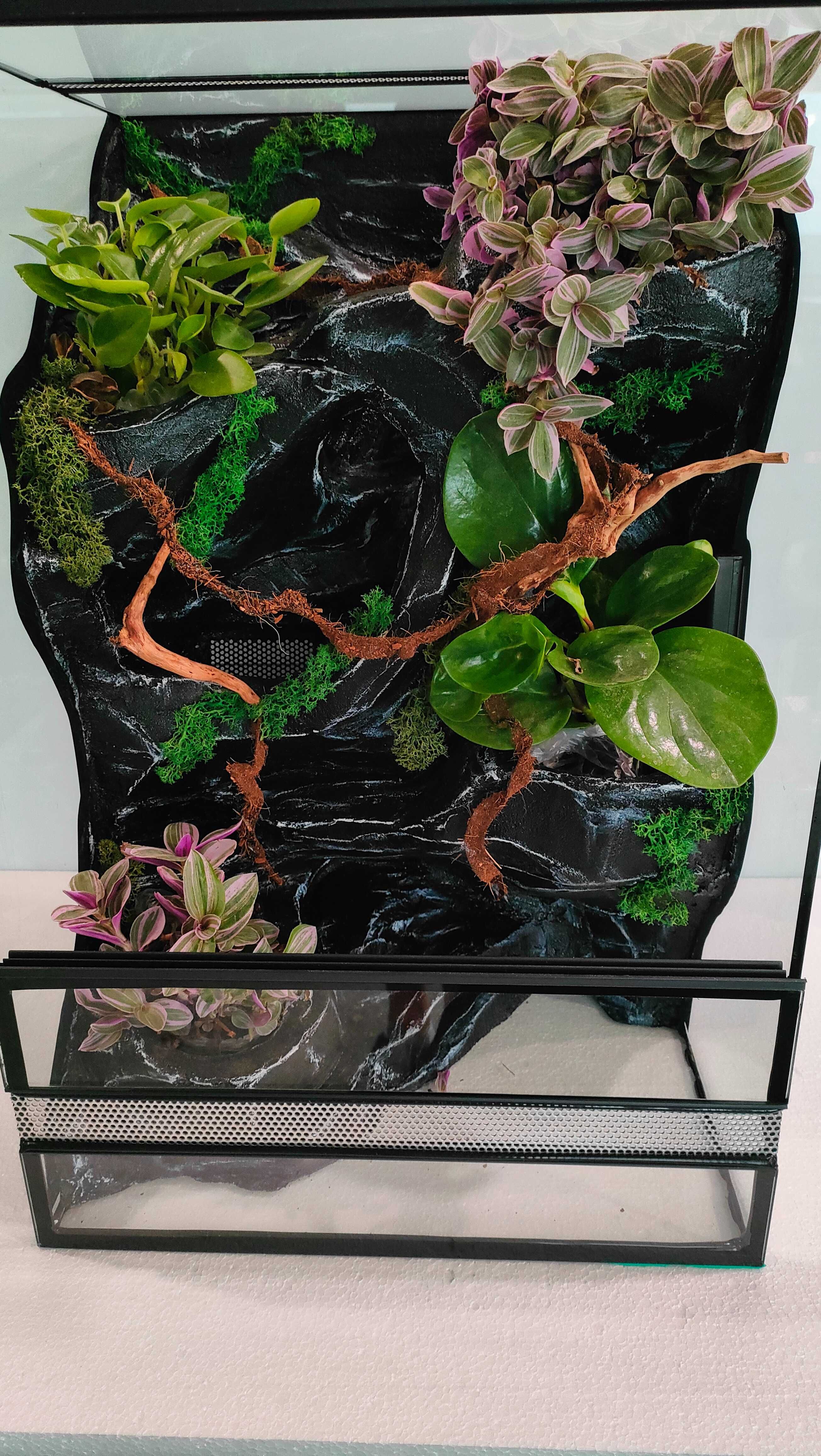 Terrarium z wodospadem, ledami dla gekona orzęsionego AquaWaves TW69WB
