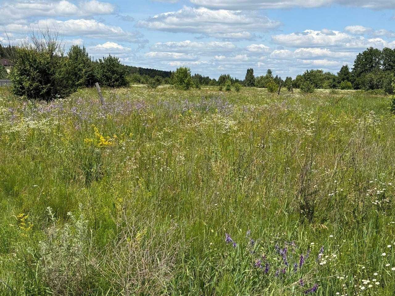 Продаж ділянки 25сот під забудову. Новий район.Поруч озеро, ліс.ID:113