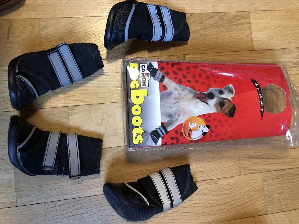 ZOLUX Buty mata obroża kong gryzak dla psa kubraczek kurtka