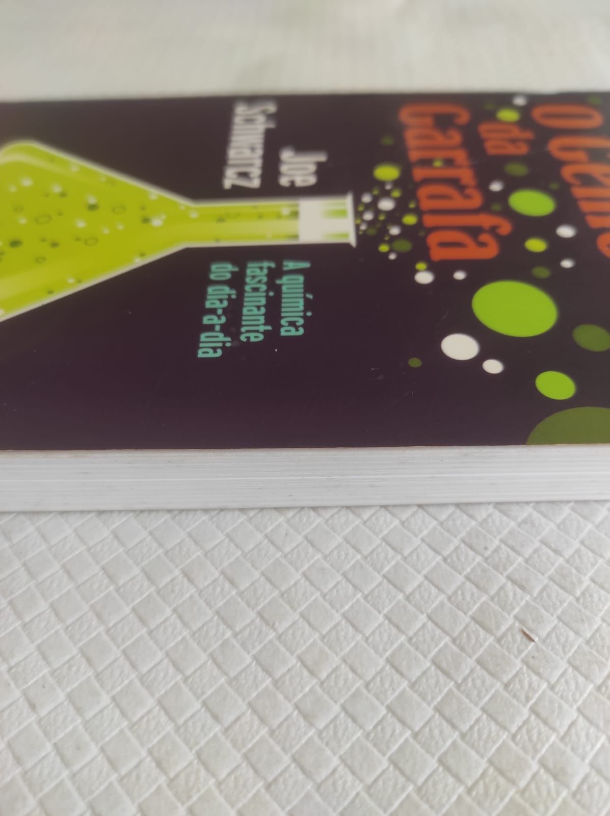 Livro o Gênio da Garrafa