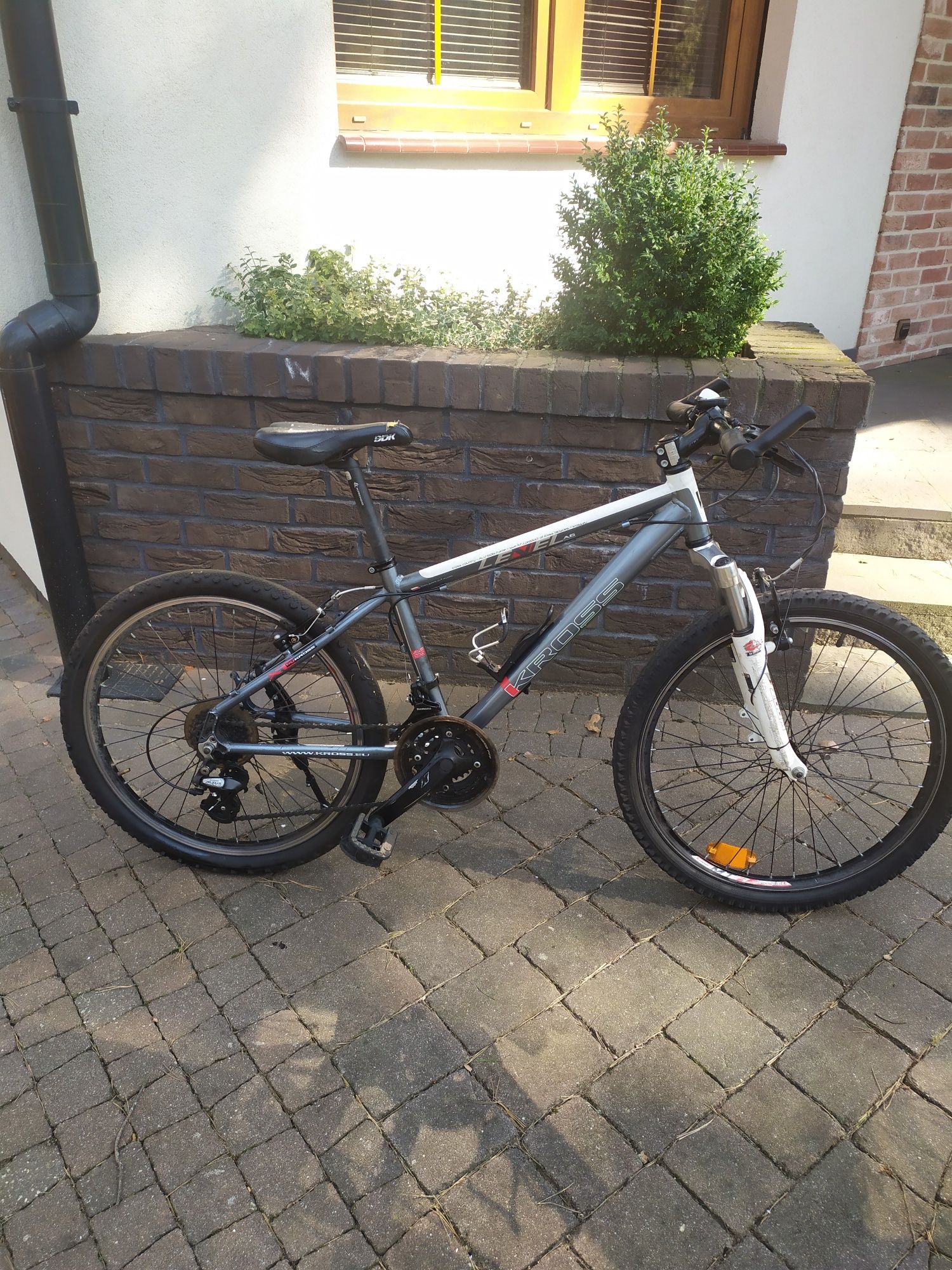 Rower Kross level A6 na 10 lat