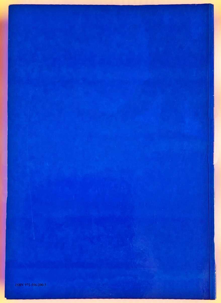 Livro O Tratado da União Europeia, Novo