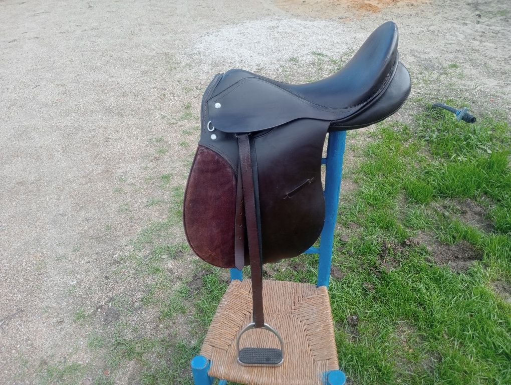 Cavalo, égua,poldro