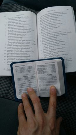 Nowy Testament z Psalmami, Biblia, Pismo Święte, zachęcam do czytania