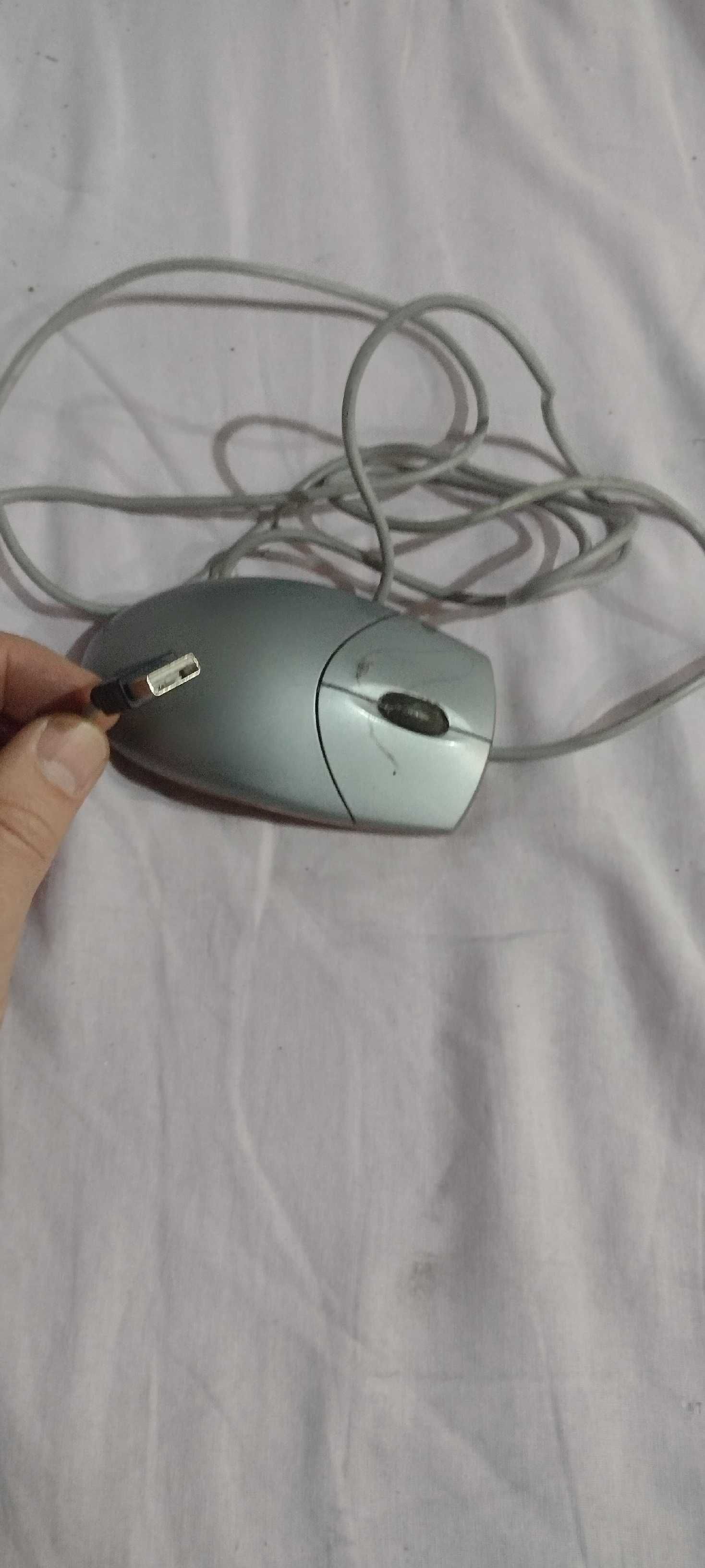 Мышь Мышка USB в рабочем состоянии