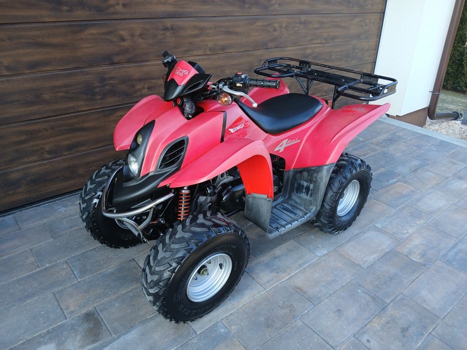 Quad Dinli sprowadzony z dokumentami