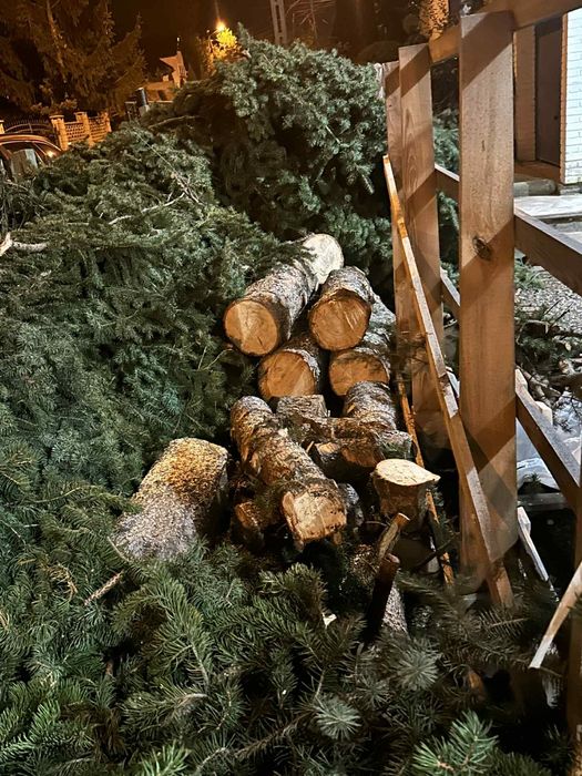 Drzewo Opał drewno gałęzie świerk stroik wieniec Dzierżoniów