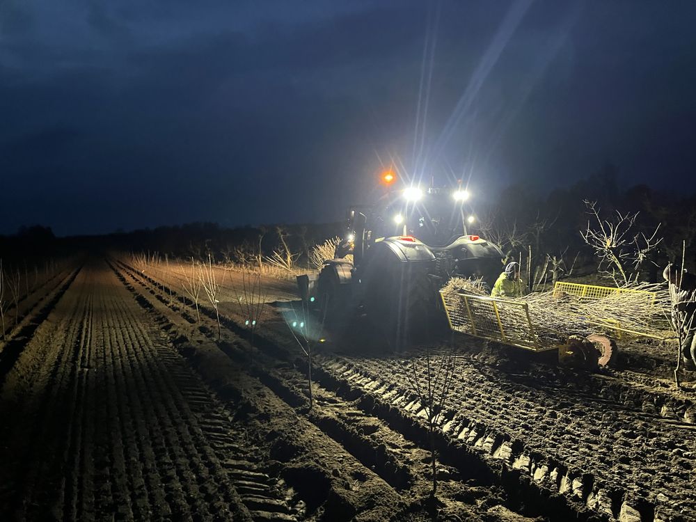 Zakladanie plantacji sadu Sadzenie drzewek jabłoni wiśni czereśni GPS