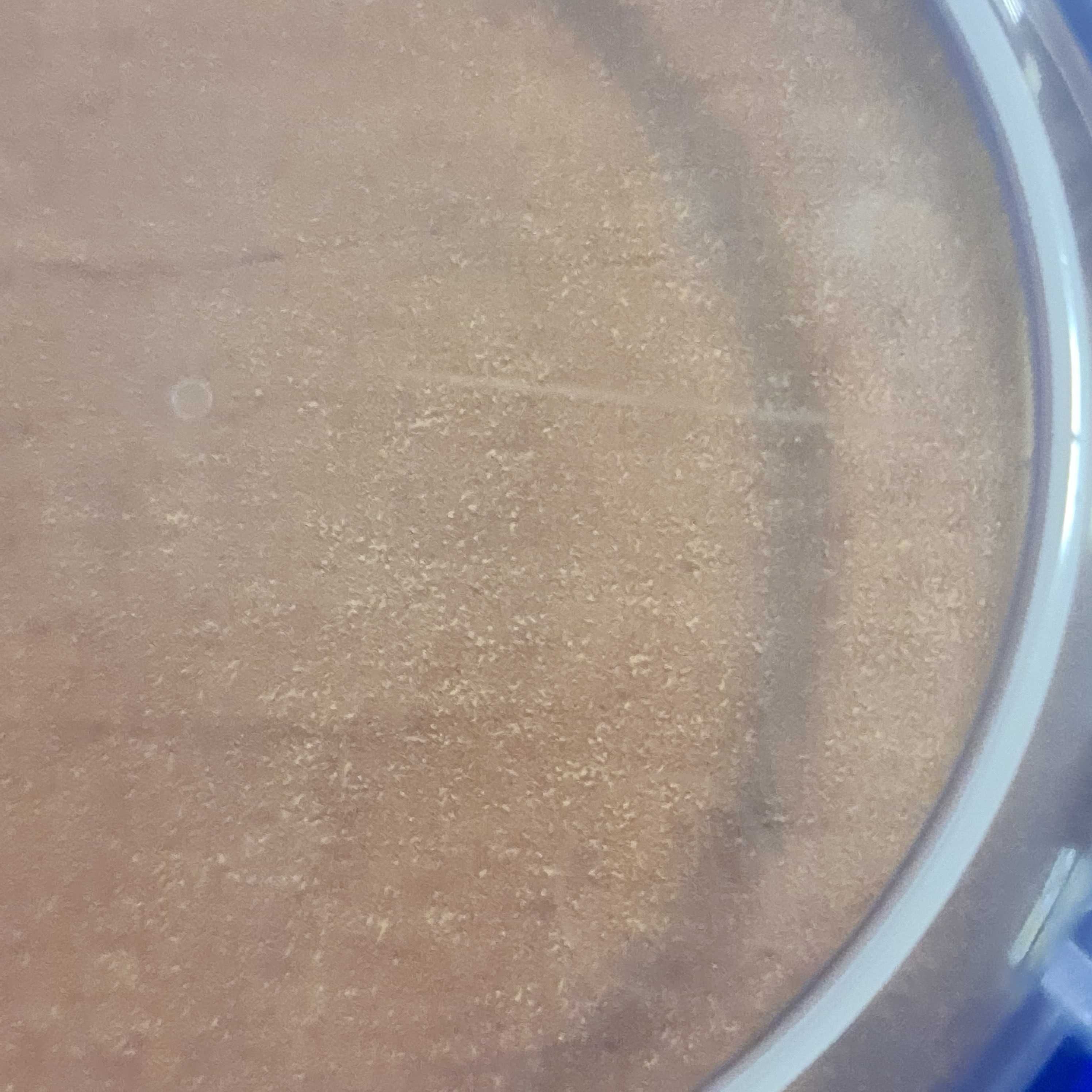 Pojemniki na żywność SISTEMA 300ml