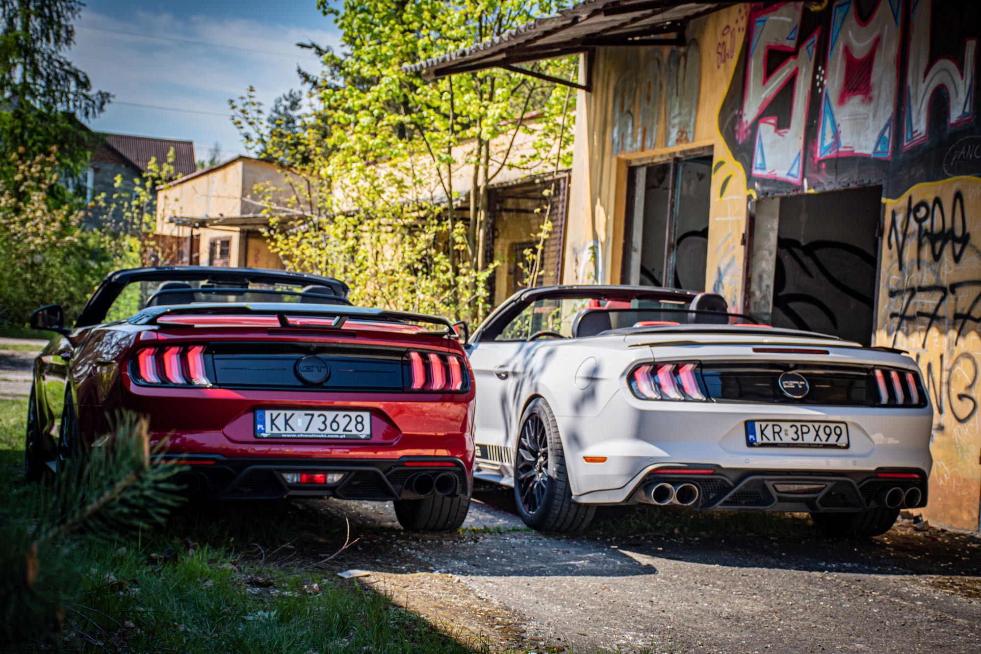 Wynajem Ford Mustang GT 5.0 V8 Kabriolet Olkusz, PROMOCJA wynajem