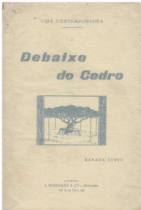 220 - Literatura - Livros de Ramada Curto (Vários )