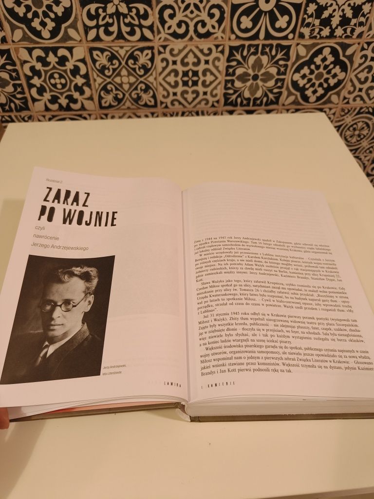 Lawina i kamienie. Pisarze wobec komunizmu