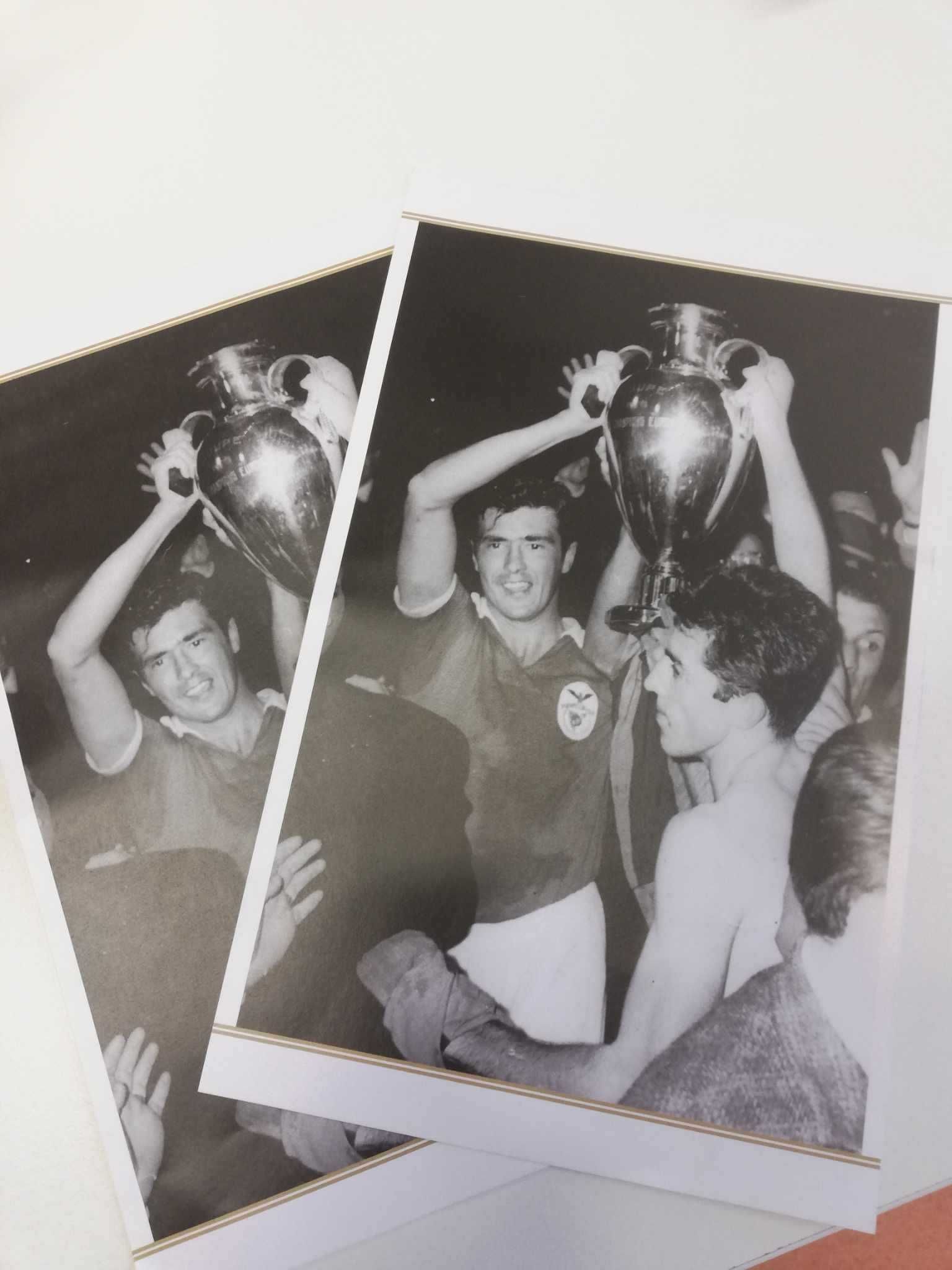 Benfica campeão europeu