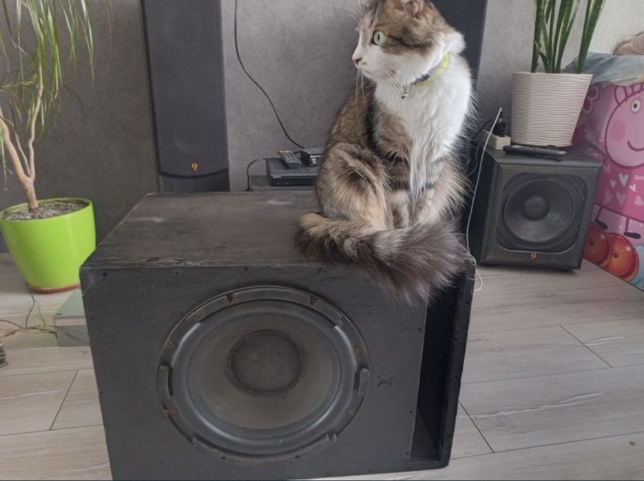 Самбуфер до авто