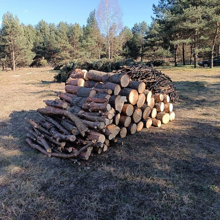 Drzewo na opał Sosna