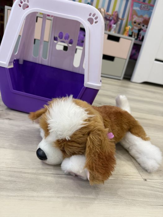 Little Live Pets  Piesek z transporterkiem piesek jak zywy