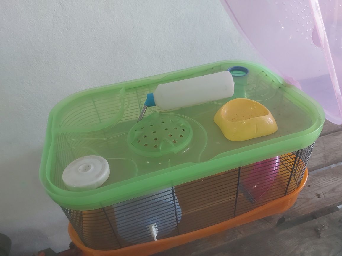 Vivenda para hamster