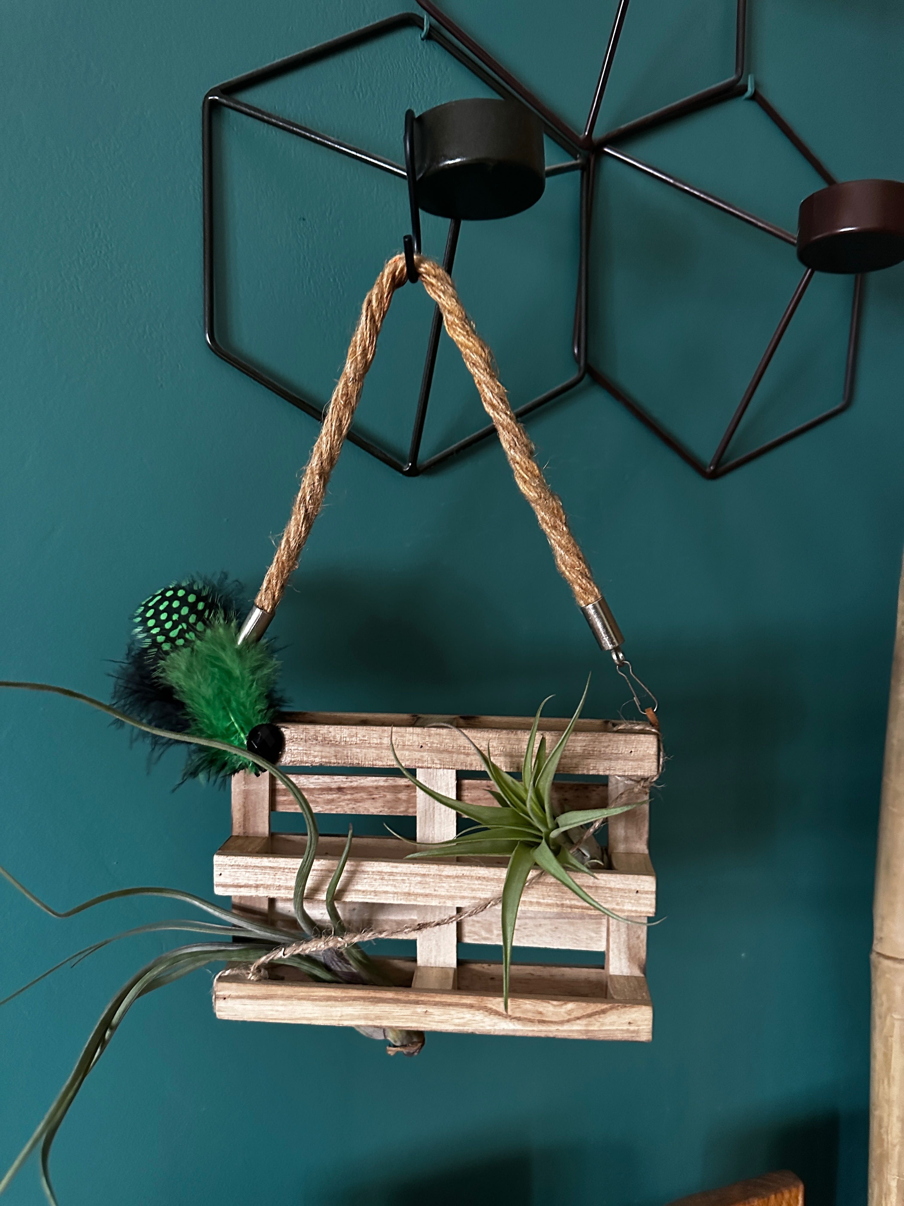 Suporte para plantas em Mini Palete