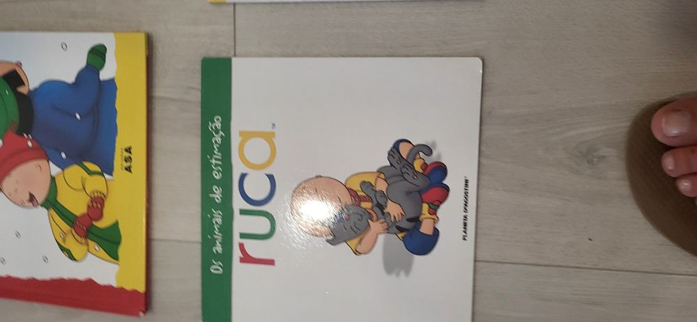 4 Livros do Ruca