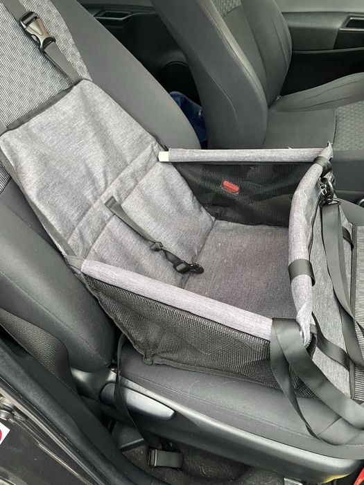Cadeira auto para cachorro