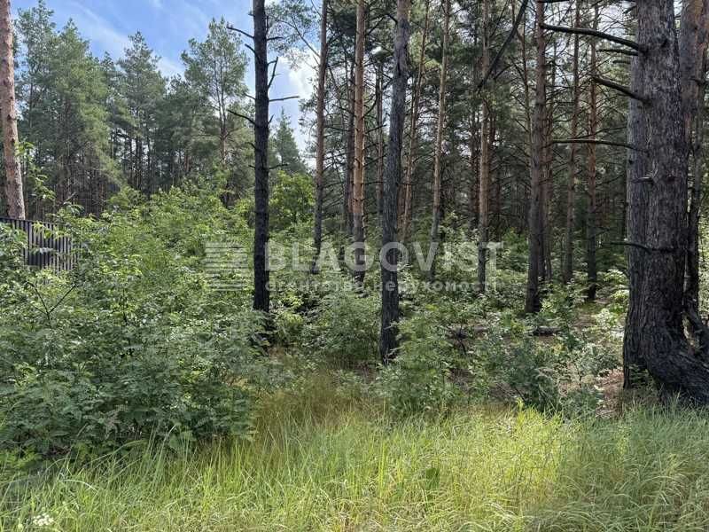 Биківня. Продажа земельної ділянки в лісовій частині. Є інші варіанти!