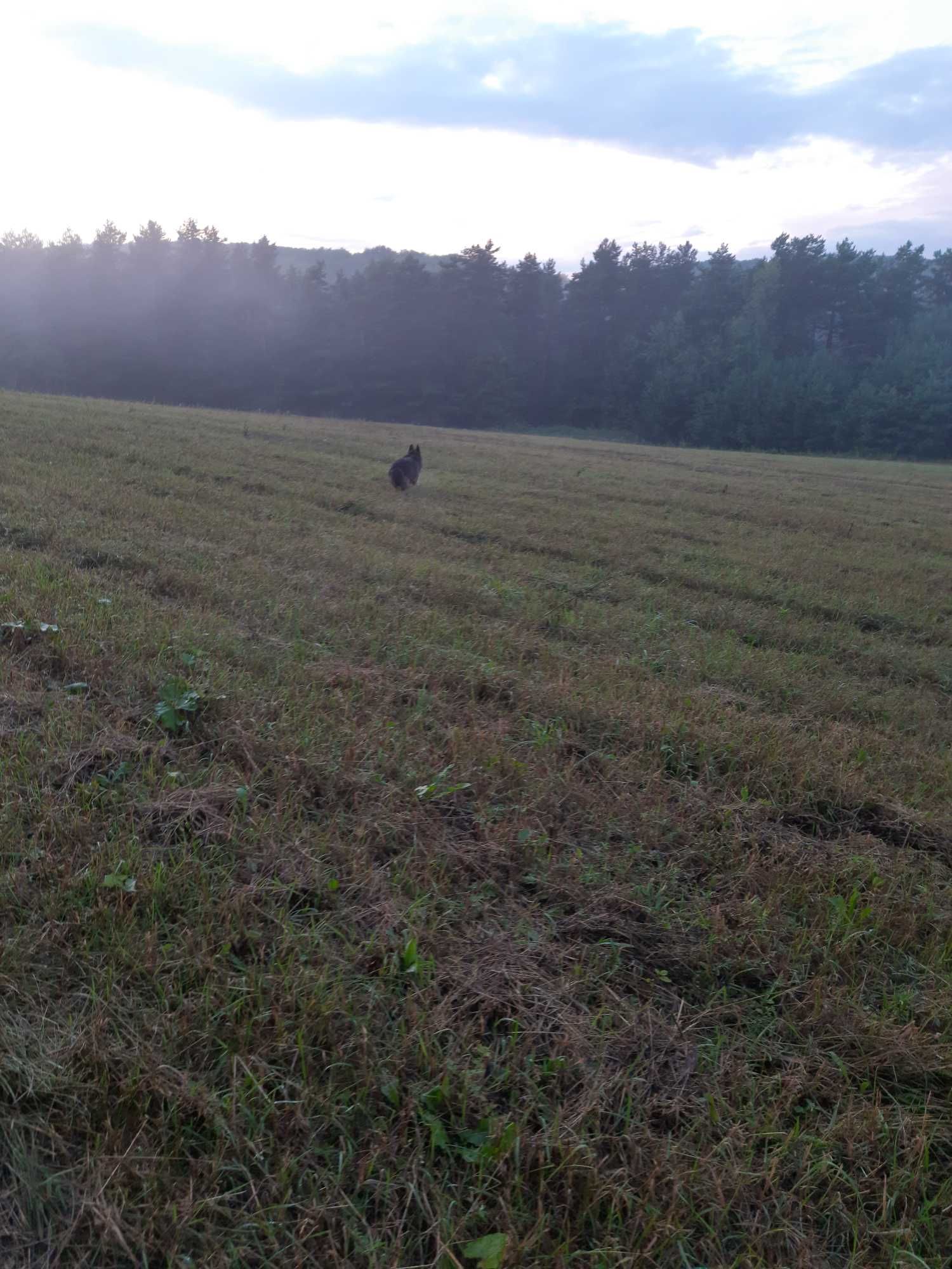 Agroturystyka pod Sowimi Skałami