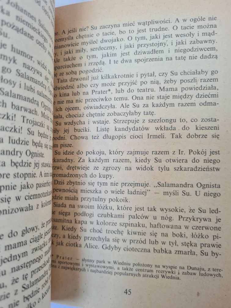 Nowy mąż dla mamy - Christine Nöstlinger