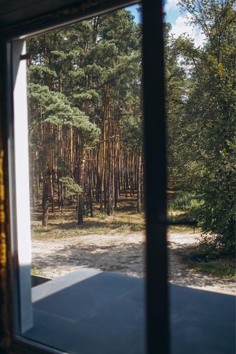 Стиль МОДЕРН. Якість ТОП. Вид на ЛІС