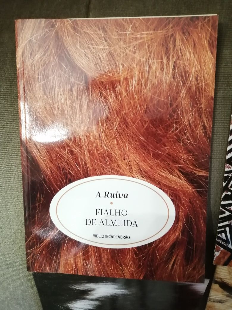 Livro de bolso de verão