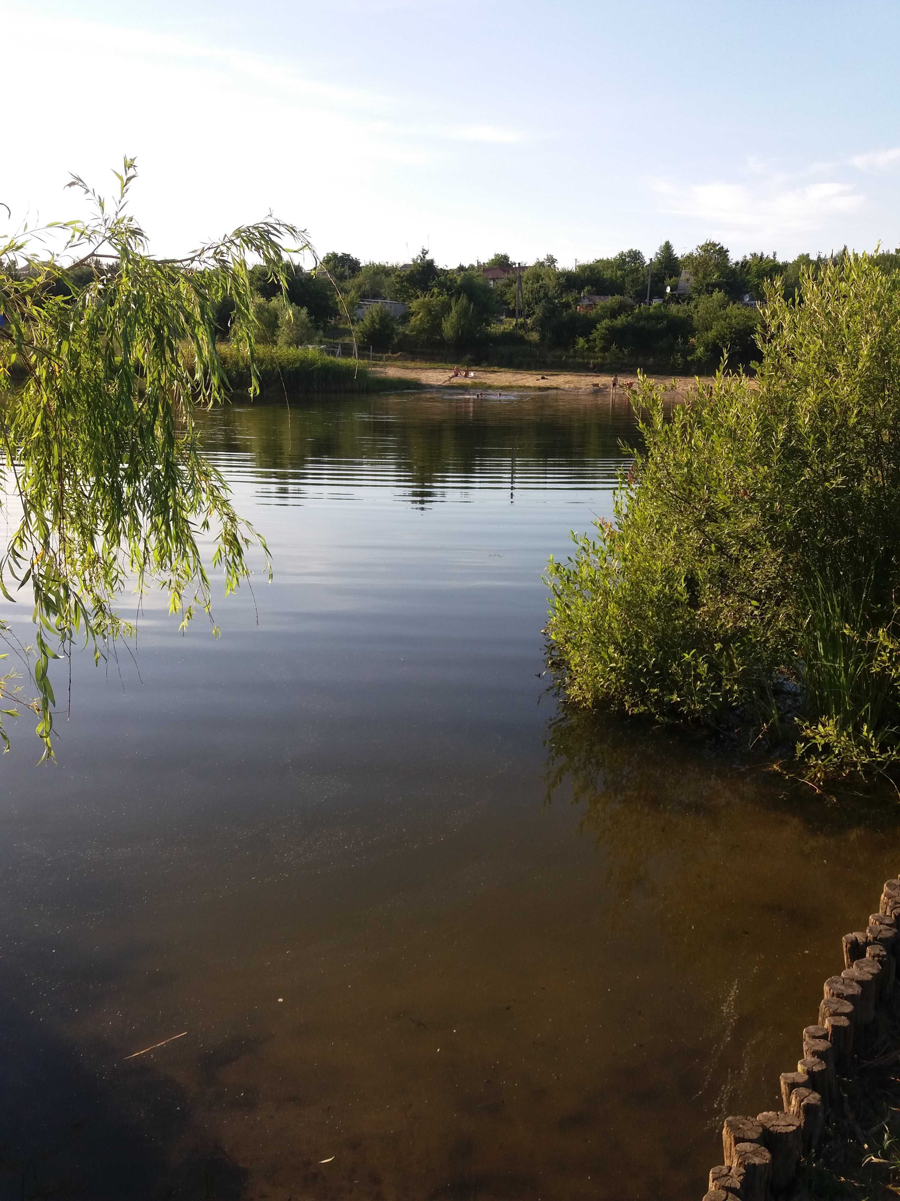 Дача біля води + ліс.