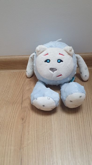 Miś szumiś błękitny