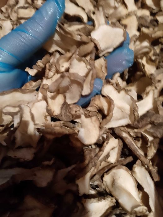 Топінамбур сушений