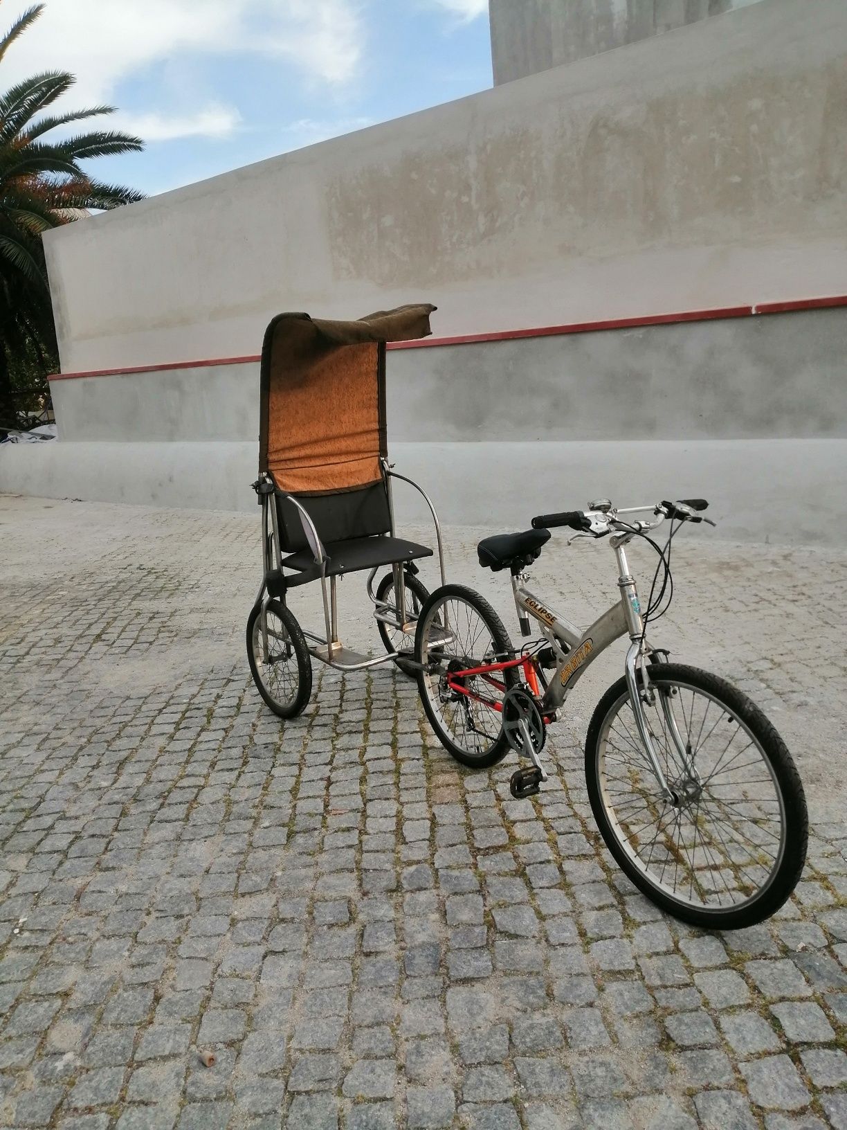 Bicicleta com trailer