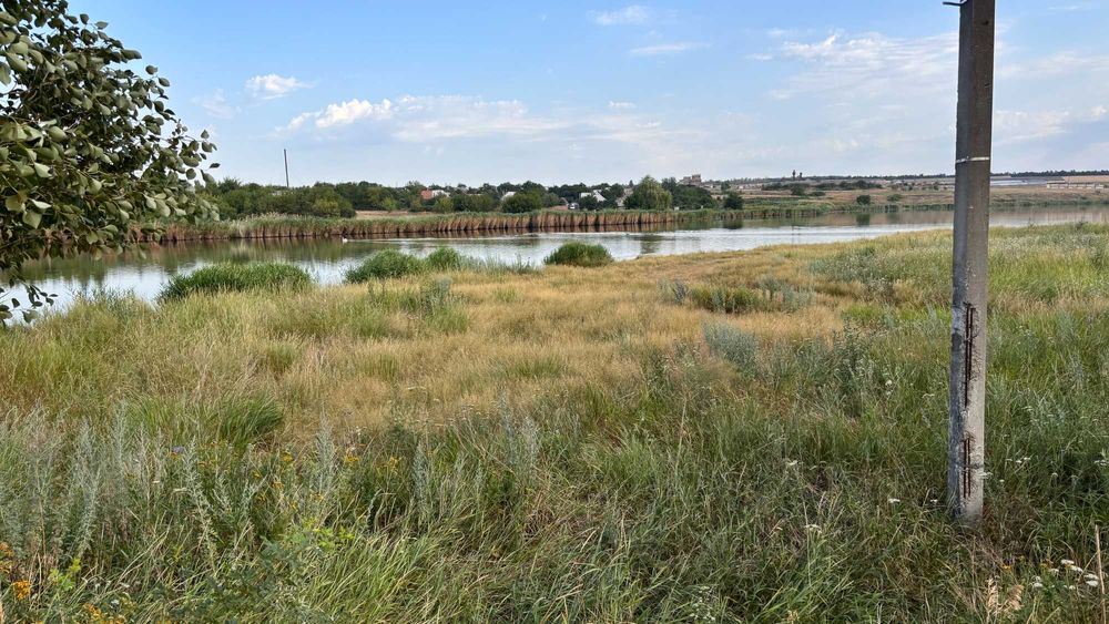 Сіно  лугове врожай 2025 рік.