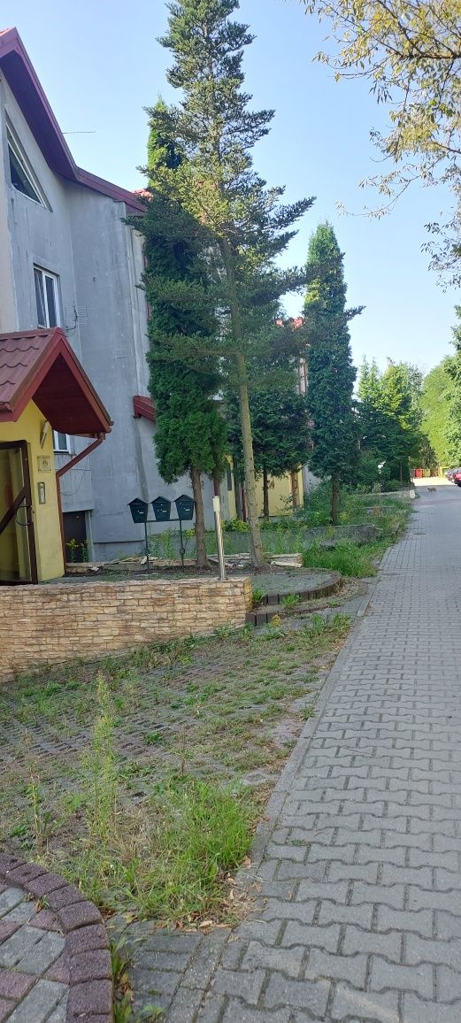 Segment w Wawrze