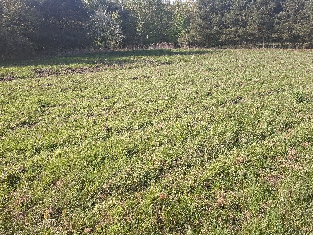 Działka budowlana w Jachrance, gmina Serock, pow. 1149m2