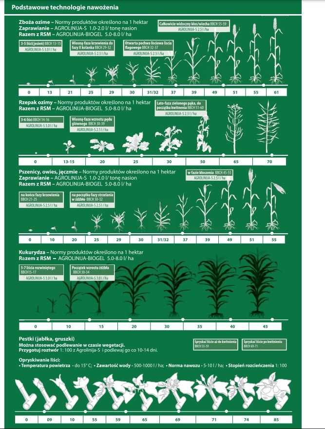 Dolistny Nawóz na Kukurydzę Agrolinija-S dolistny 25L na ok 10hA