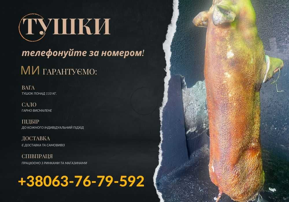 Тушки свинини високої якості – оптом і в роздріб. М'ясо, сало.
