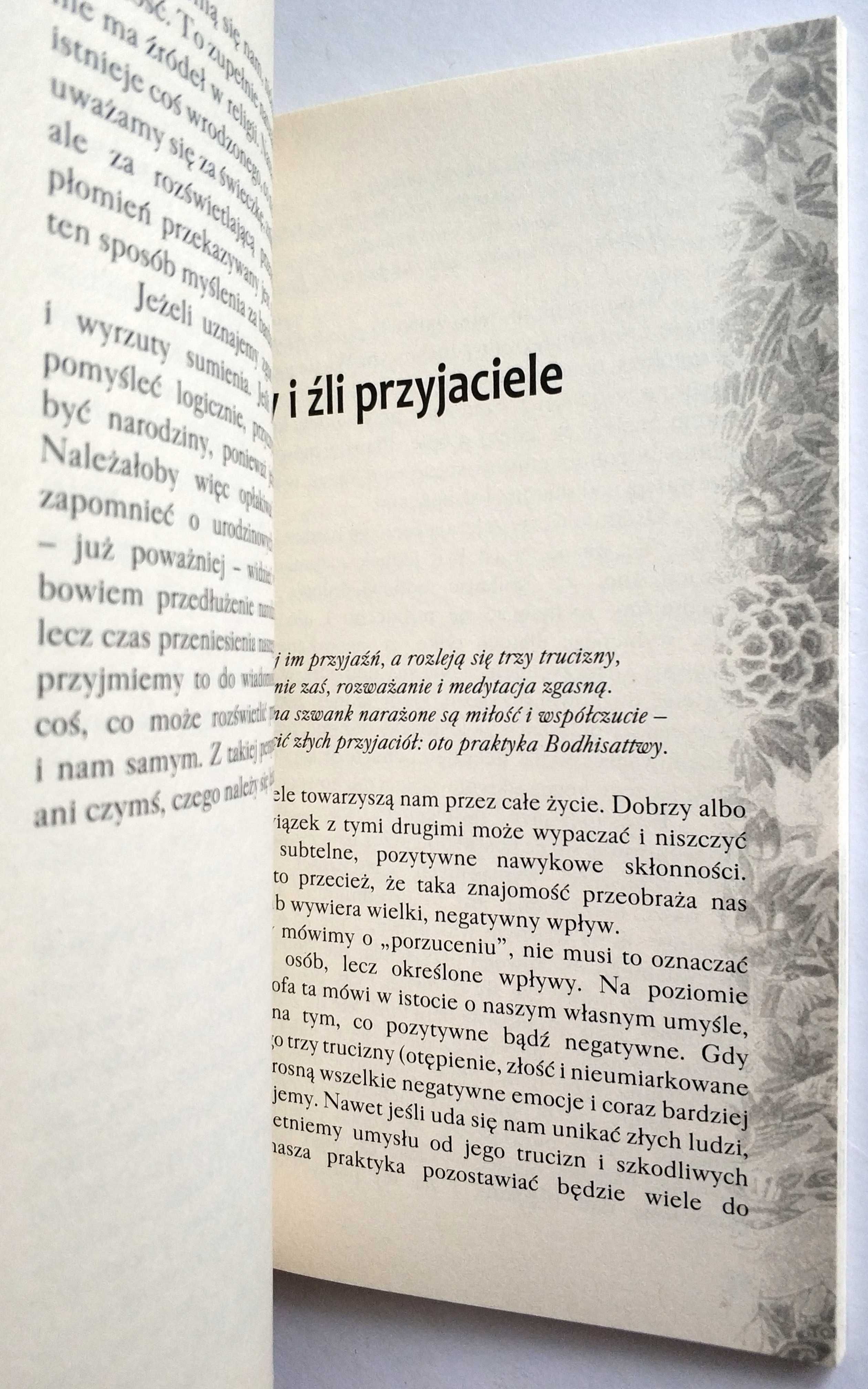 Na ścieżce współczucia, J.Ś. XVII Karmapa Ogjen Trinle Dordże, NOWA!