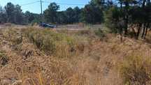 Magnifico Terreno Para Construção No Pinhal General