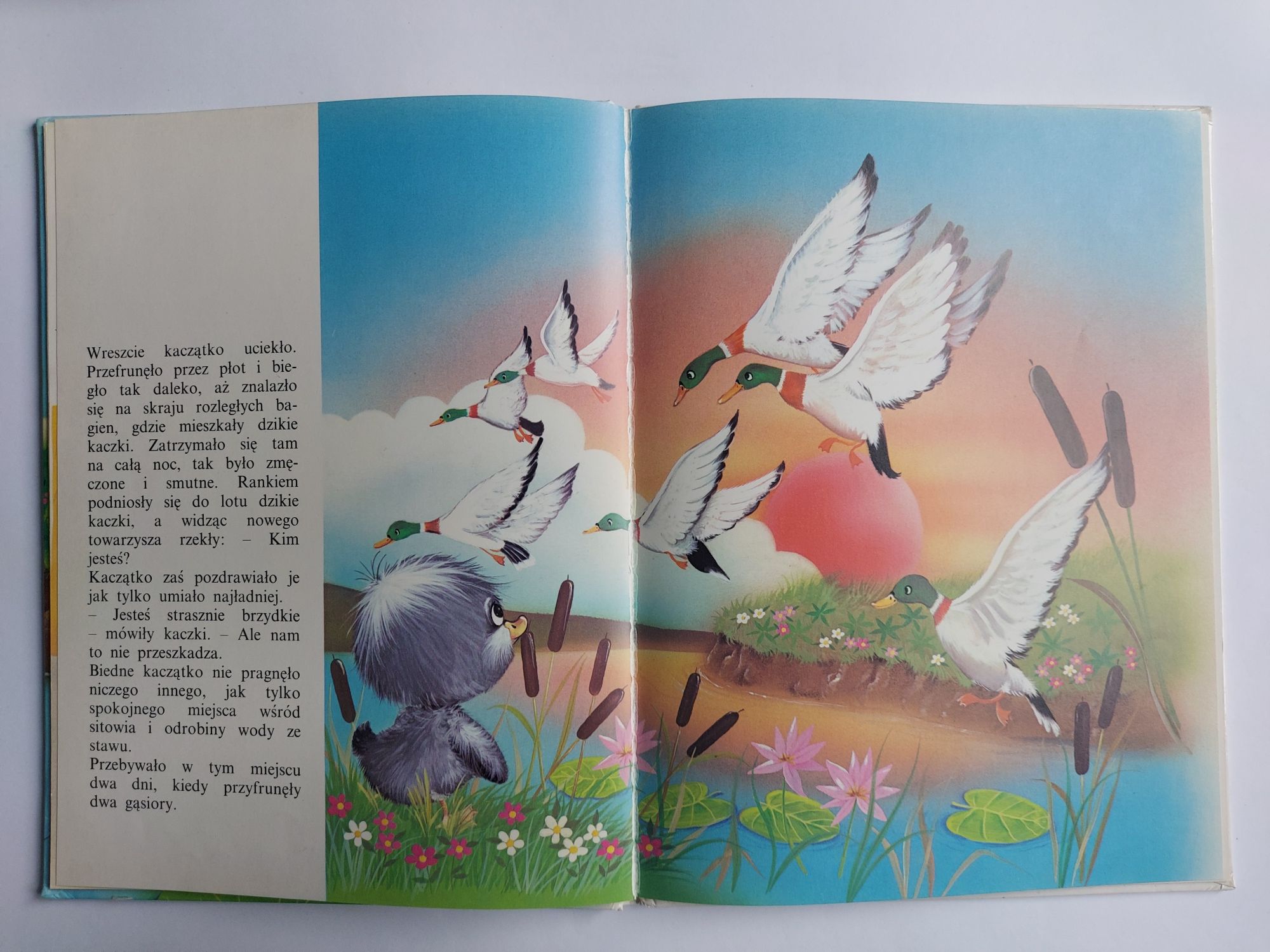 Brzydkie kaczątko - Książka dla dzieci