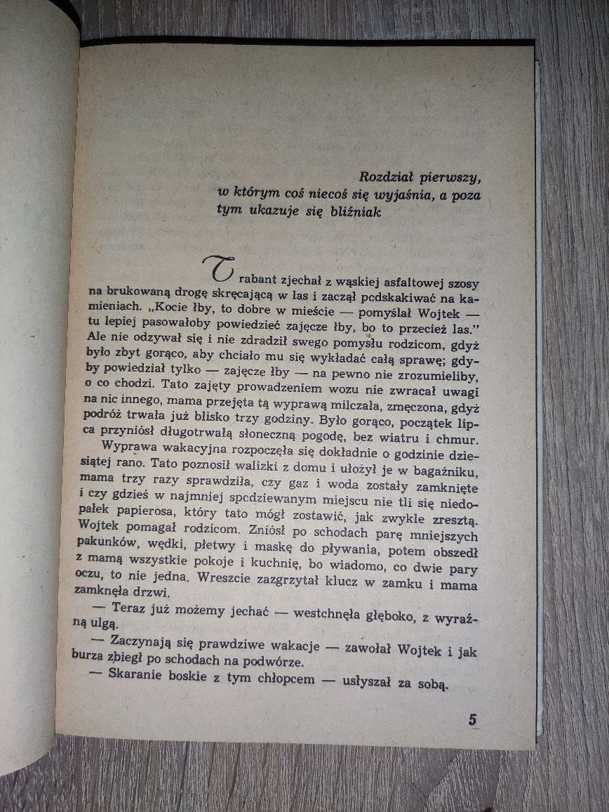 Książka Zielone czyli wakacje w Dłusku Rogowski