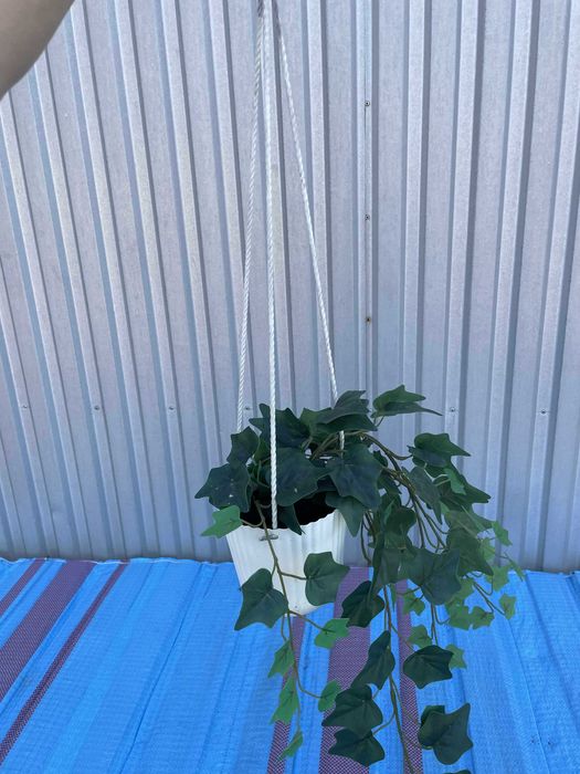 FEJKA
Sztuczna roślina doniczkowa, Bluszcz, 15 cm Z OSŁONKĄ