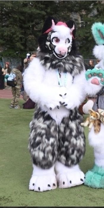 Fursuit full furry